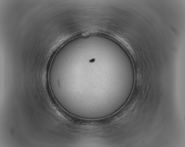 X0000115100485200911101547