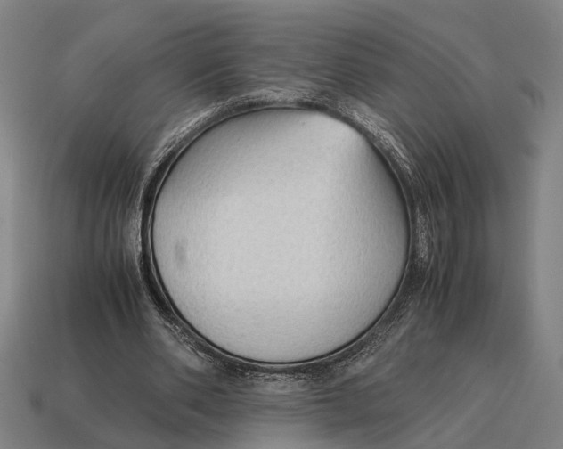 X0000115100486200911101547
