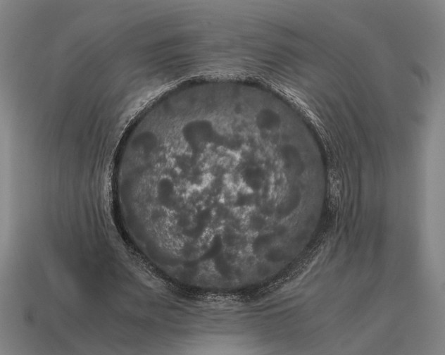 X0000115100487200911101547
