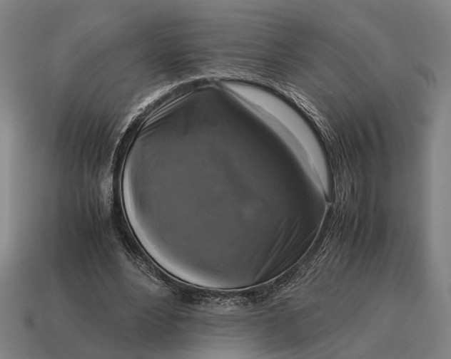 X0000115100488200911101547