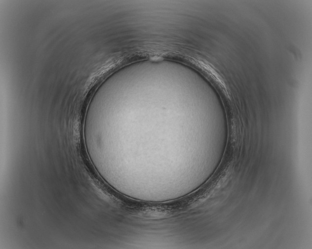 X0000115100489200911101547