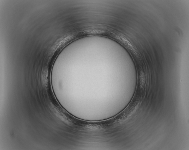 X0000115100490200911101547