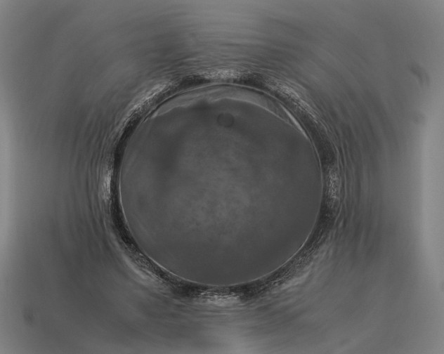 X0000115100491200911101547