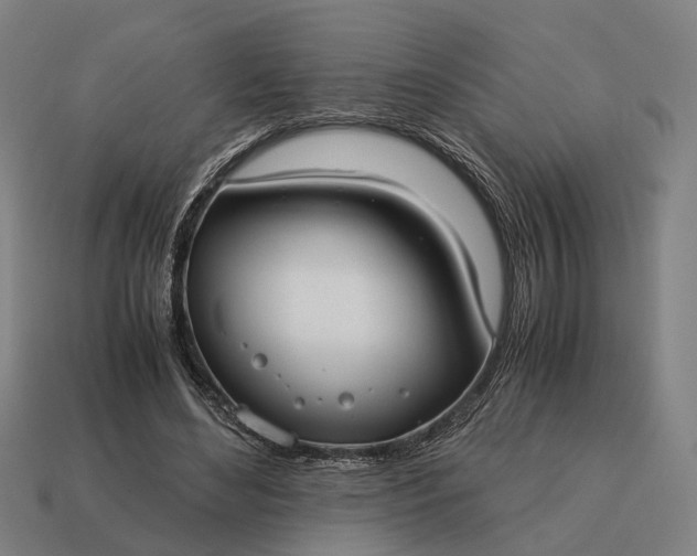 X0000115100492200911101547