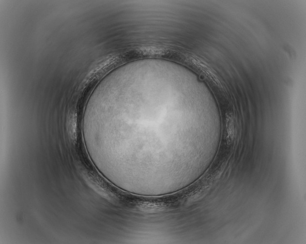X0000115100494200911101547