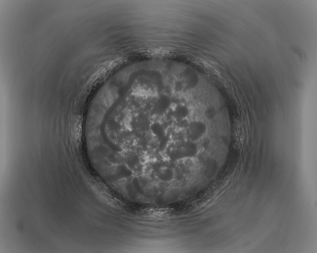 X0000115100495200911101547