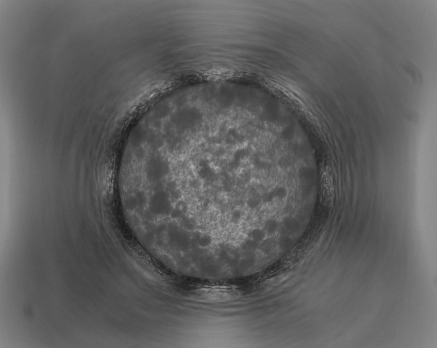 X0000115100499200911101547