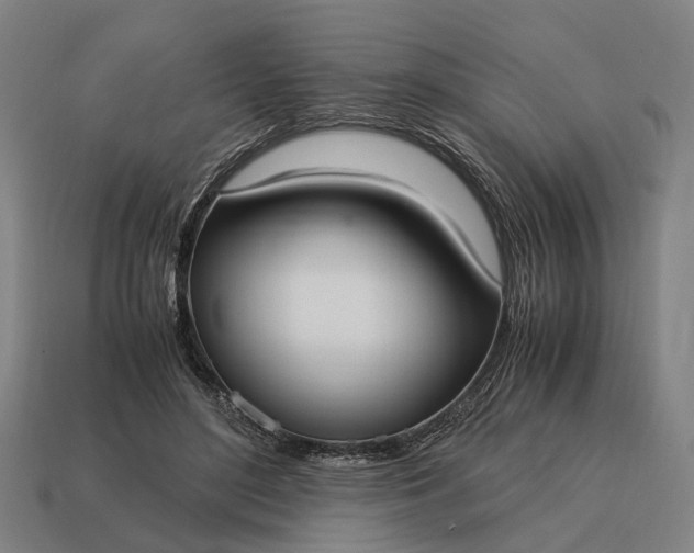 X0000115100500200911101547