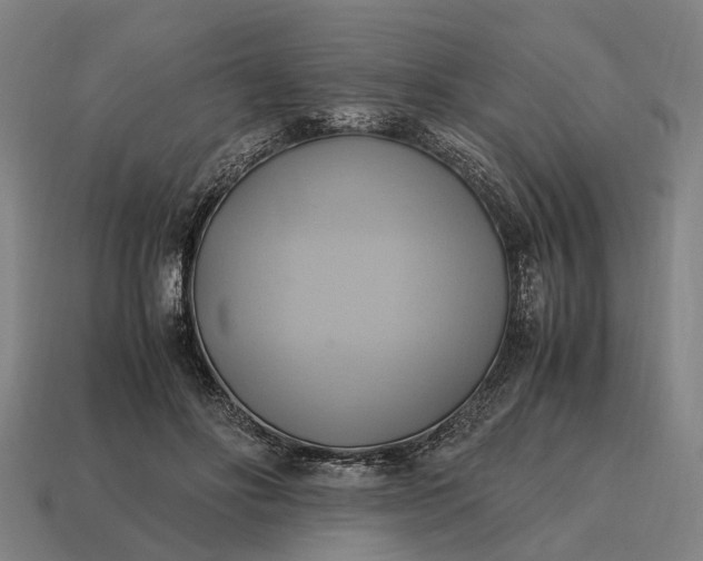 X0000115100502200911101547