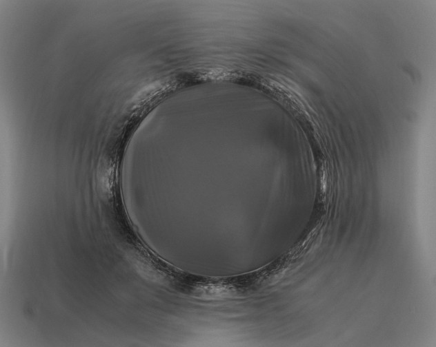 X0000115100503200911101547