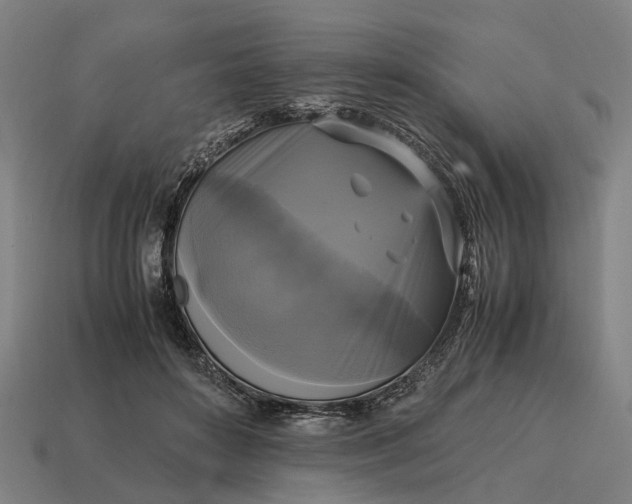X0000115100504200911101547