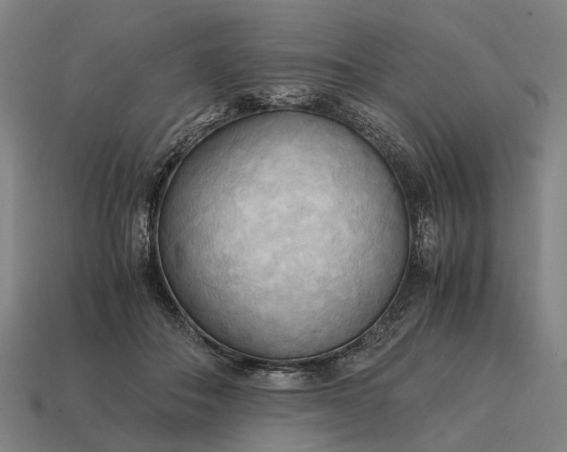 X0000115100506200911101547