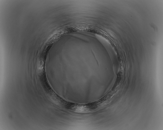 X0000115100507200911101547