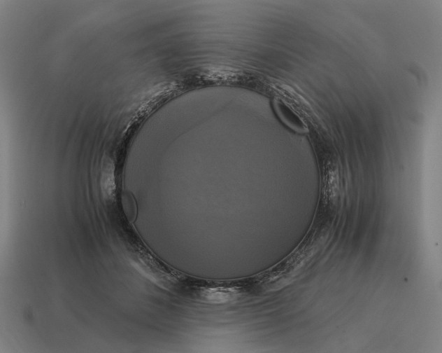 X0000115100508200911101547
