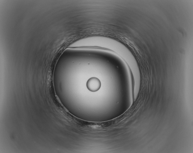 X0000115100509200911101547