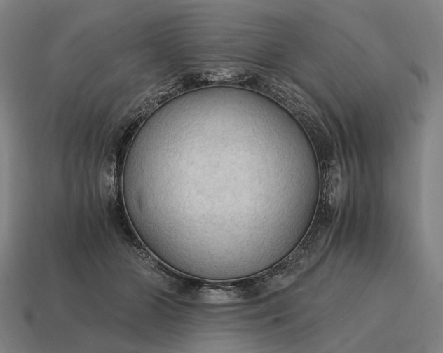 X0000115100510200911101547