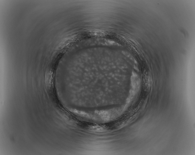 X0000115100511200911101547