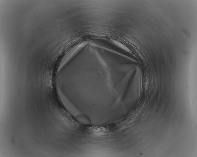 X0000115100512200911101547