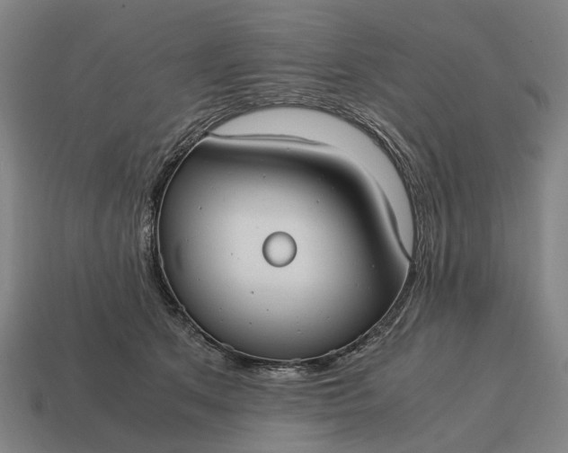X0000115100513200911101547