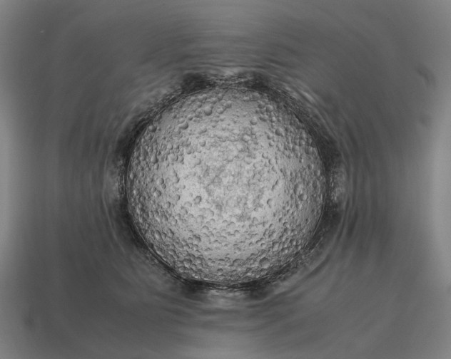 X0000115100515200911101547