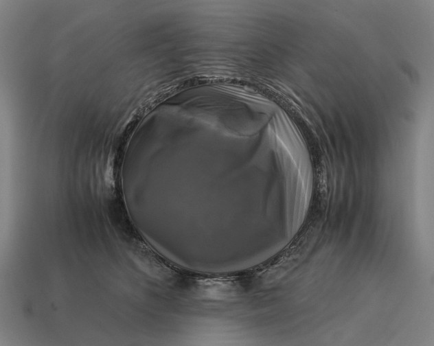 X0000115100516200911101547