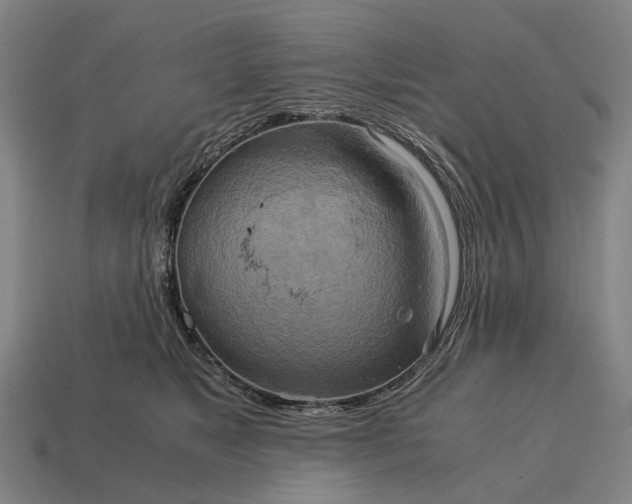 X0000115100517200911101547