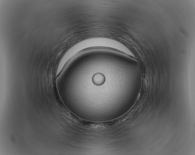 X0000115100520200911101547
