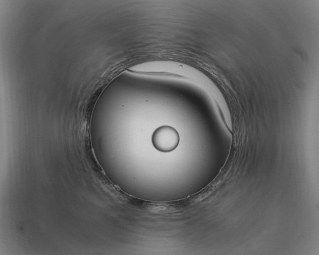 X0000115100521200911101547