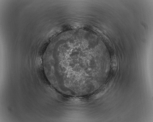 X0000115100523200911101547
