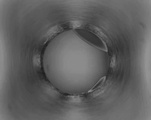 X0000115100524200911101547