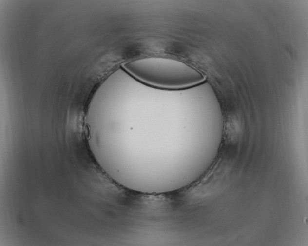 X0000115100525200911101547