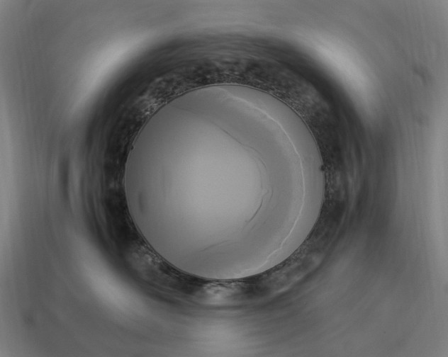 X0000115100526200911101547