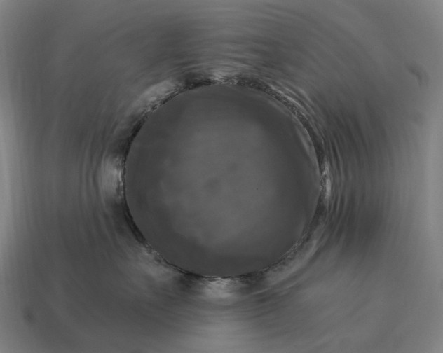 X0000115100527200911101547