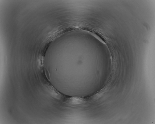 X0000115100528200911101547