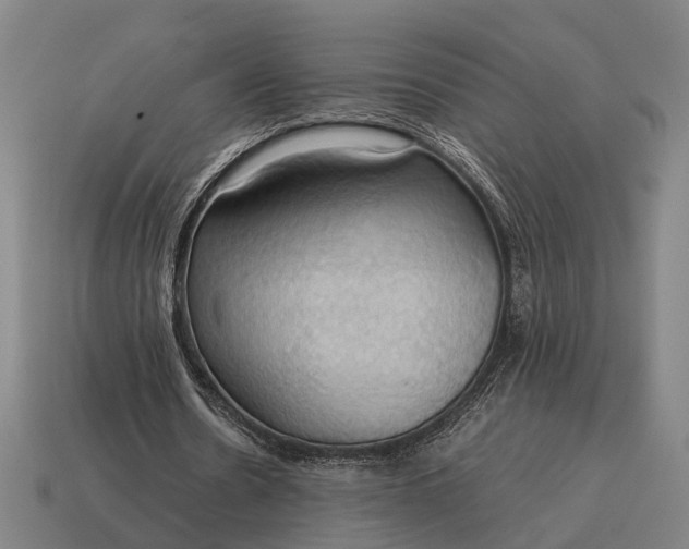 X0000115100530200911101546