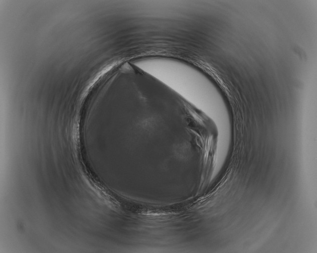 X0000115100531200911101546