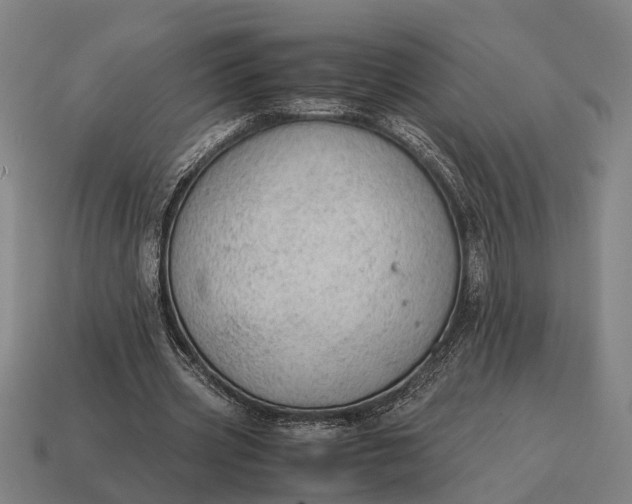 X0000115100533200911101546
