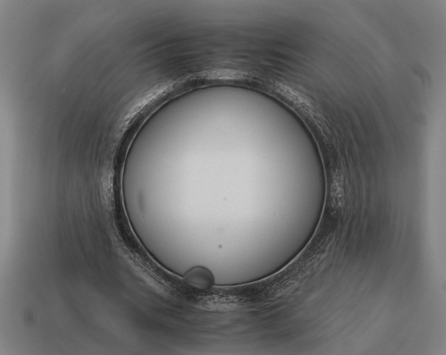 X0000115100535200911101546