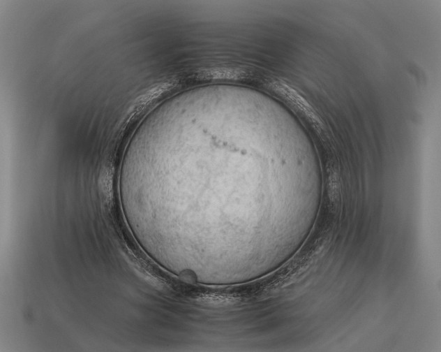 X0000115100537200911101546