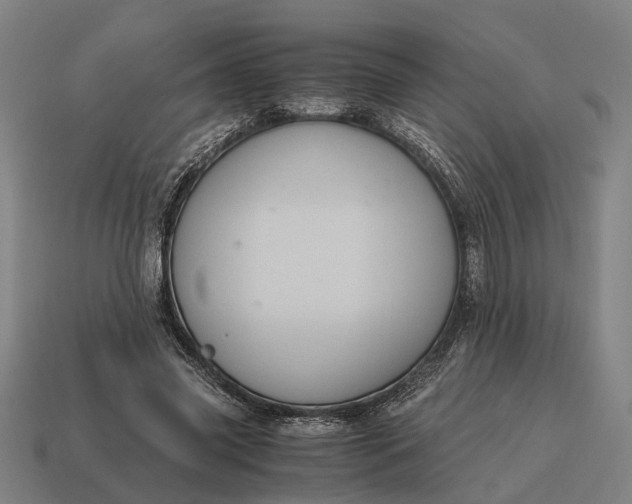 X0000115100541200911101546