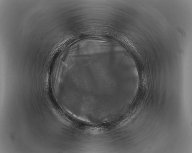 X0000115100542200911101546