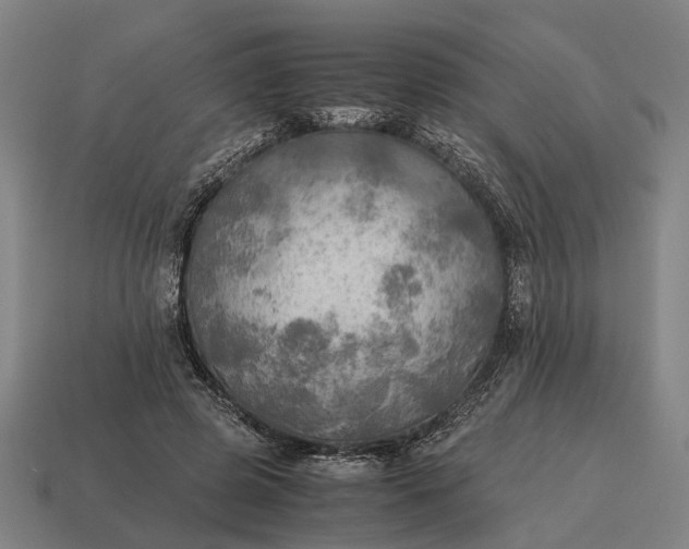 X0000115100545200911101546