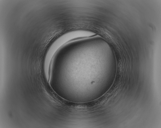 X0000115100546200911101546