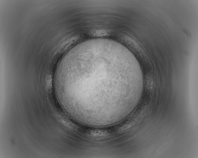 X0000115100549200911101546