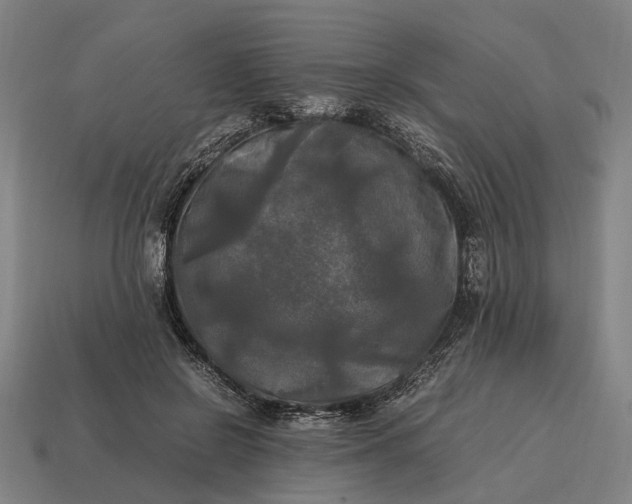 X0000115100550200911101546