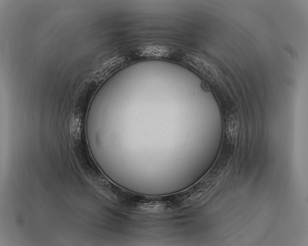 X0000115100551200911101547
