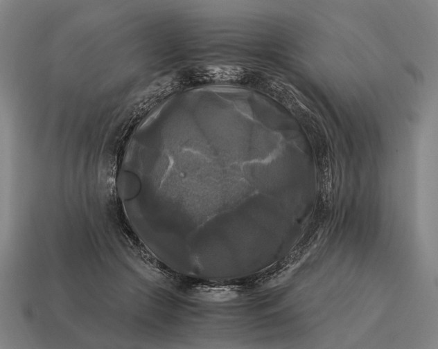 X0000115100553200911101547