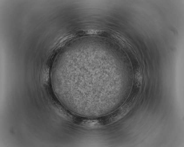 X0000115100554200911101547