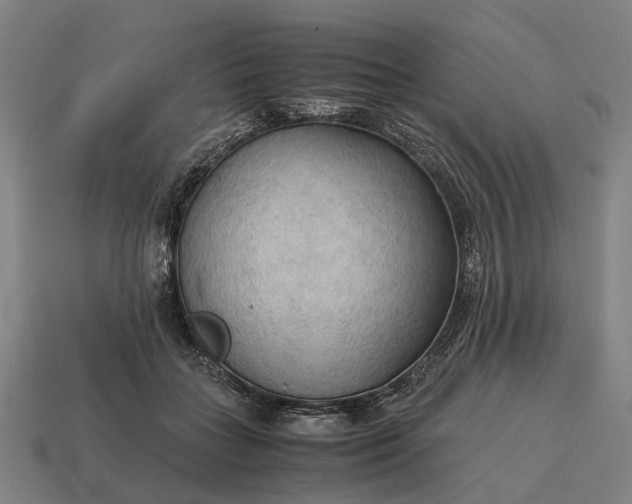 X0000115100555200911101547
