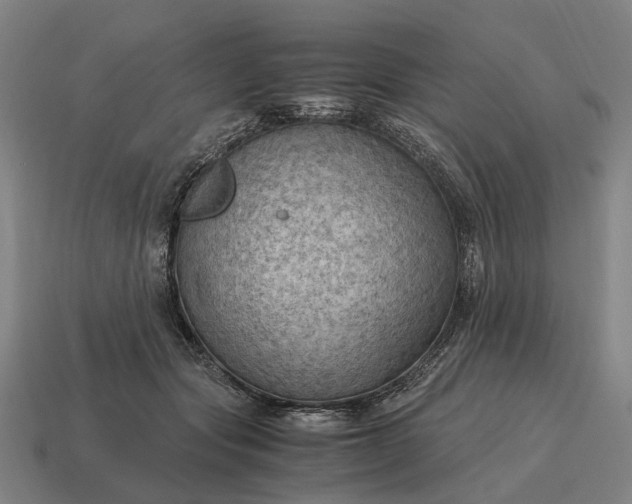 X0000115100557200911101547